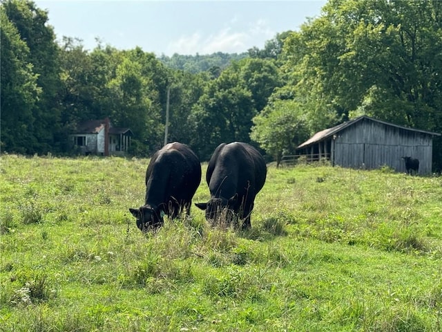 TBD Galloway Rd, Canehill, AR 72717