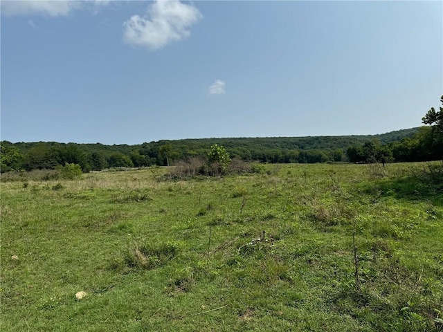 TBD Galloway Rd, Canehill, AR 72717