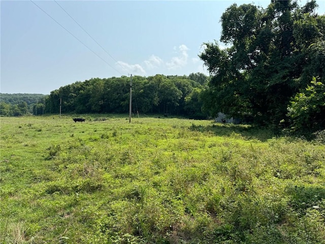 TBD Galloway Rd, Canehill, AR 72717