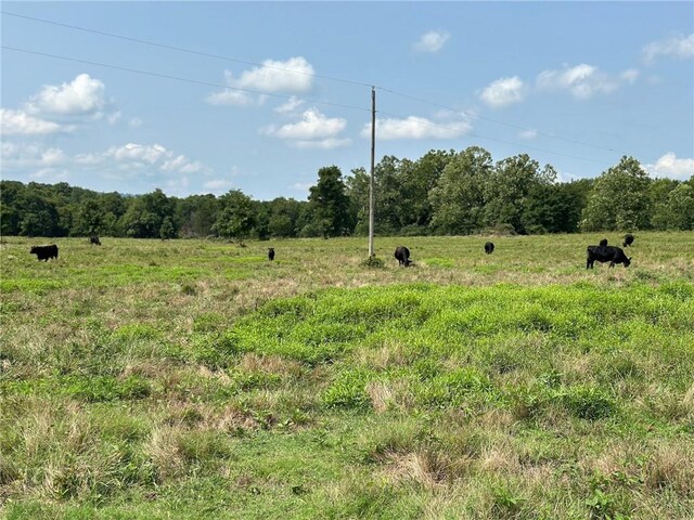 TBD Galloway Rd, Canehill, AR 72717