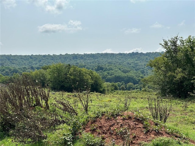 TBD Galloway Rd, Canehill, AR 72717