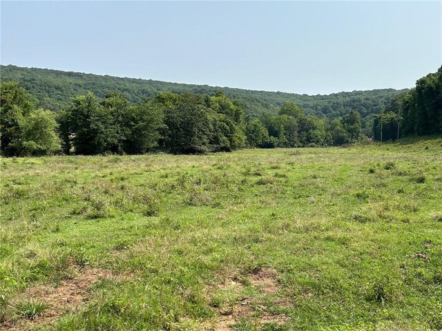 TBD Galloway Rd, Canehill, AR 72717