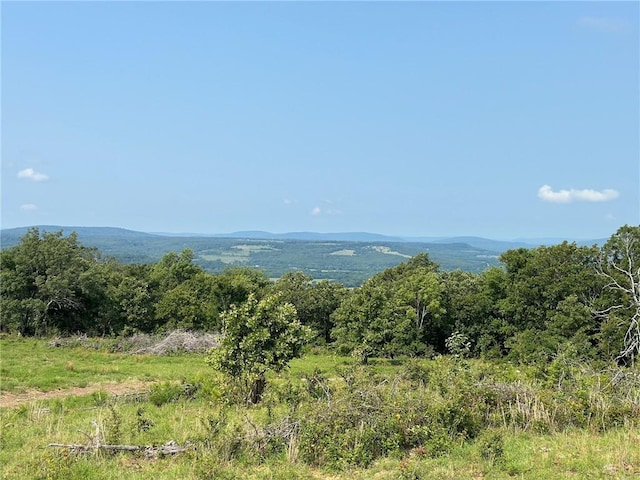 TBD Galloway Rd, Canehill, AR 72717