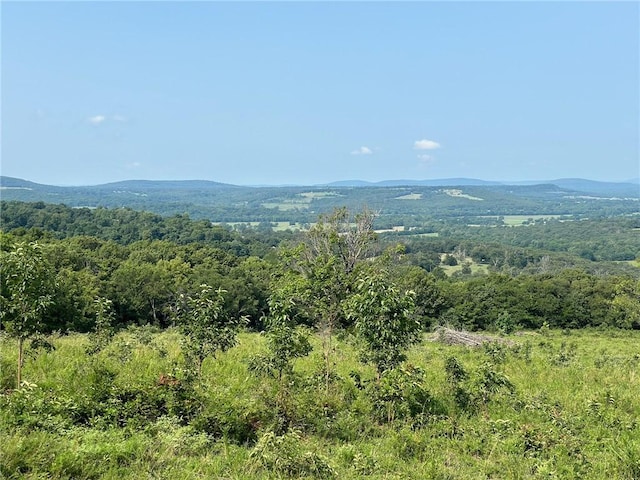 TBD Galloway Rd, Canehill, AR 72717
