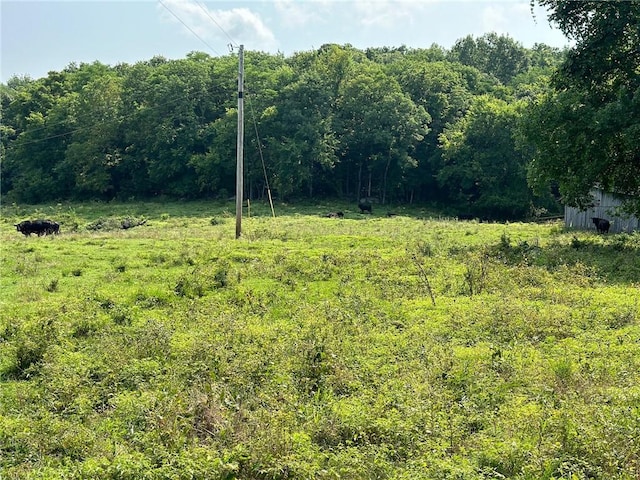 TBD Galloway Rd, Canehill, AR 72717