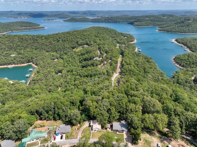 bird's eye view featuring a water view and a forest view