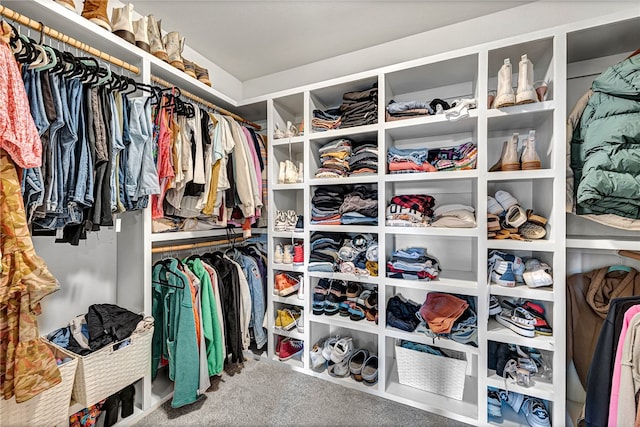 spacious closet featuring carpet