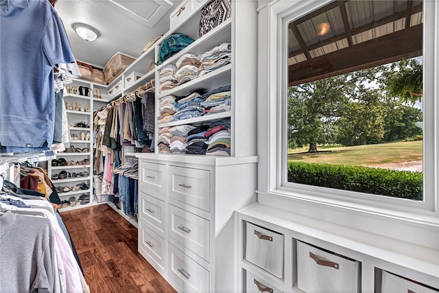 spacious closet featuring dark hardwood / wood-style flooring