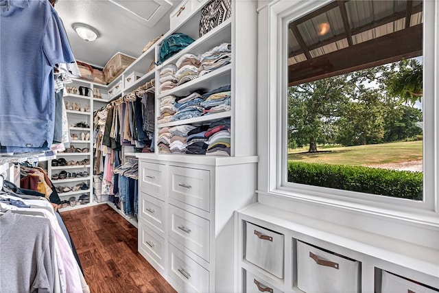 spacious closet with dark wood-style floors