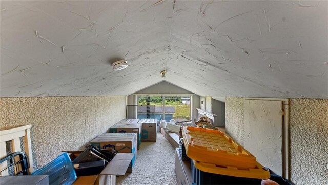 additional living space featuring carpet and lofted ceiling