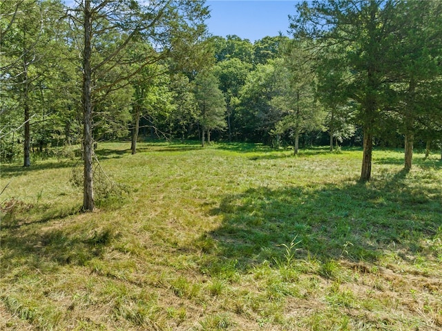 view of local wilderness