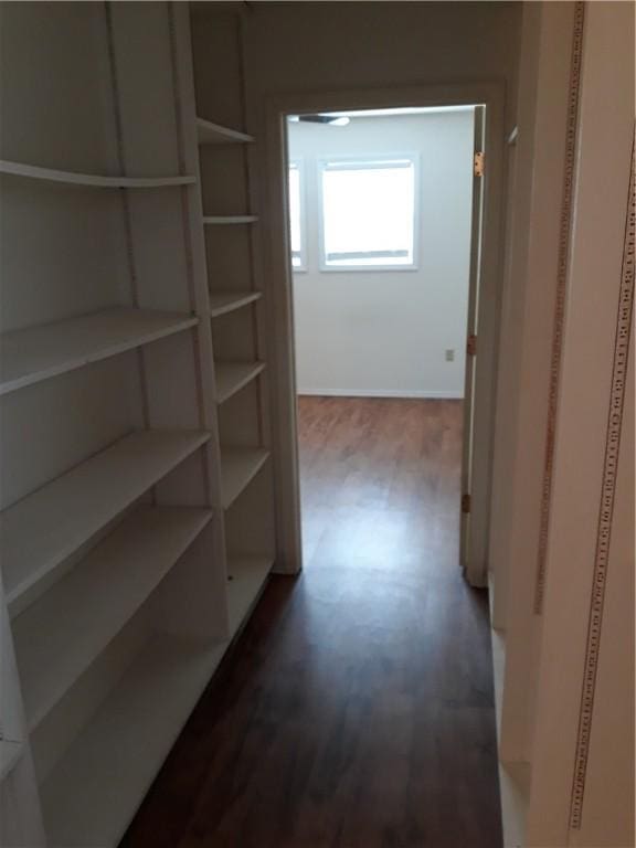 hallway with dark wood-type flooring