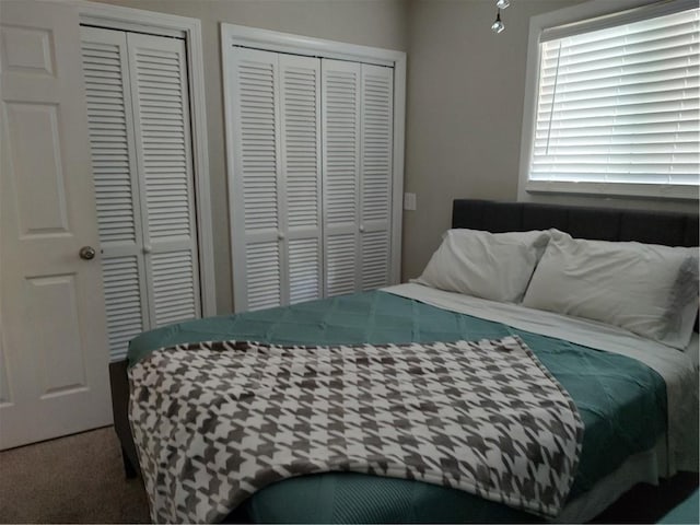 carpeted bedroom with two closets