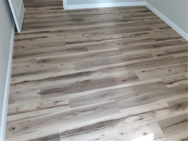 room details with hardwood / wood-style flooring