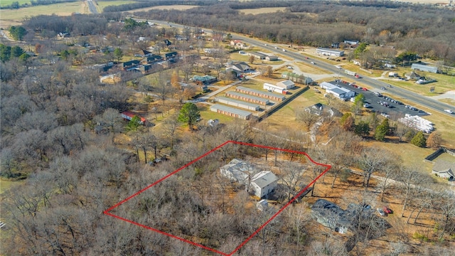 drone / aerial view