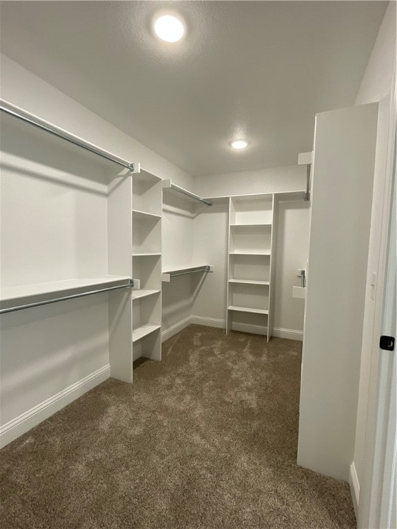 walk in closet with dark colored carpet