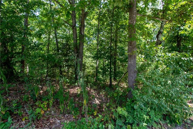 14600 Canyon Rd, Bella Vista, AR 72715 - photo 6
