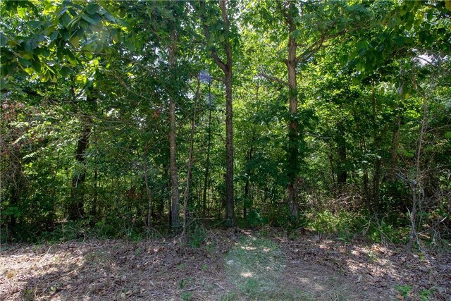 14600 Canyon Rd, Bella Vista, AR 72715 - photo 7