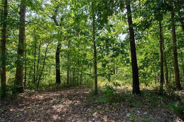 14600 Canyon Rd, Bella Vista, AR 72715 - photo 1