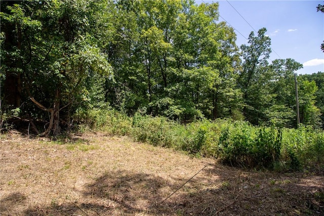 14600 Canyon Rd, Bella Vista, AR 72715 - photo 3