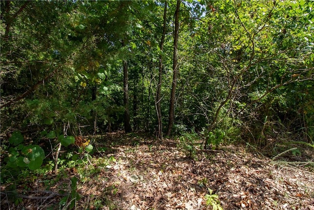 14600 Canyon Rd, Bella Vista, AR 72715 - photo 4