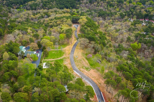 13 Pine Crest Ln, Eureka Springs, AR 72632 - photo 3