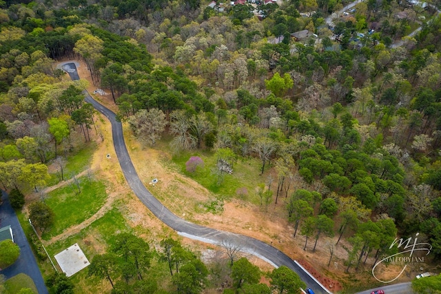 13 Pine Crest Ln, Eureka Springs, AR 72632 - photo 4