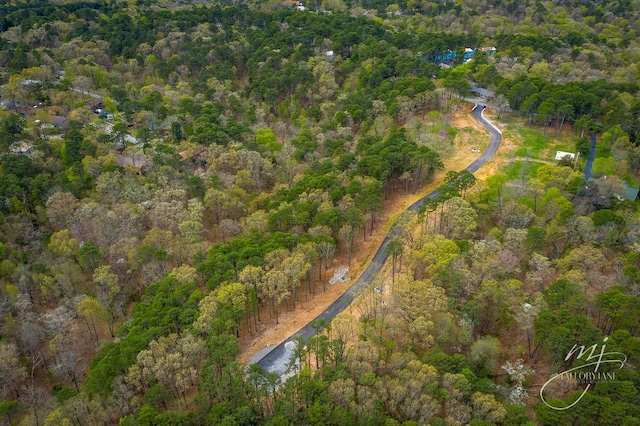 13 Pine Crest Ln, Eureka Springs, AR 72632 - photo 5