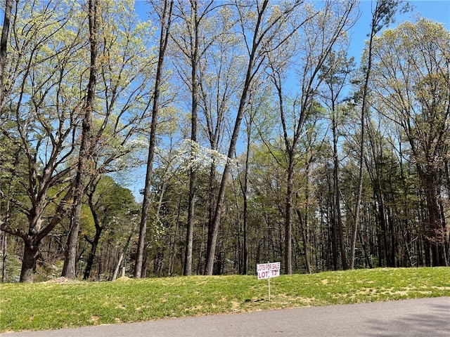 13 Pine Crest Ln, Eureka Springs, AR 72632 - photo 2