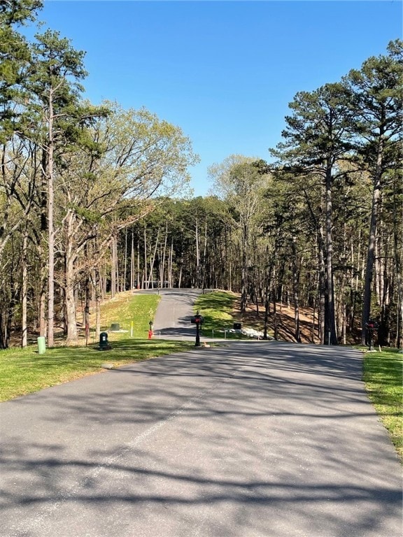 13 Pine Crest Ln, Eureka Springs, AR 72632 - photo 7