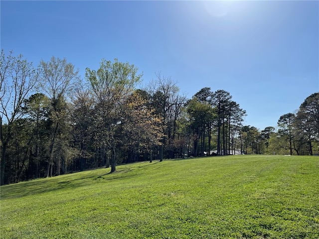 13 Pine Crest Ln, Eureka Springs, AR 72632 - photo 8
