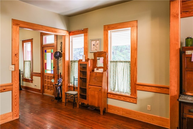 interior space featuring dark hardwood / wood-style flooring