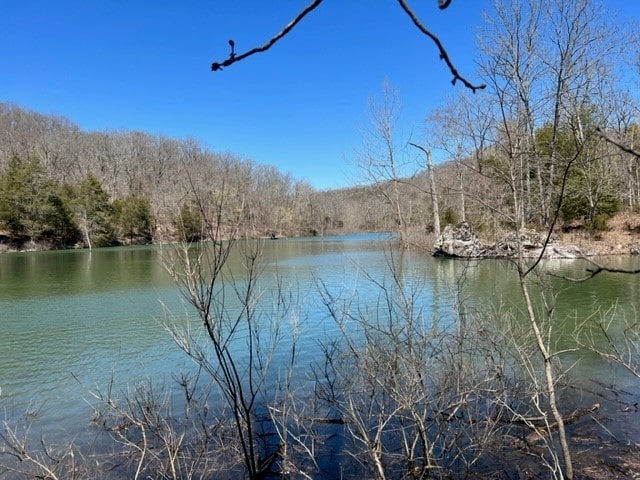 Listing photo 2 for 69.25ACRES Slate Gap Rd, Garfield AR 72732