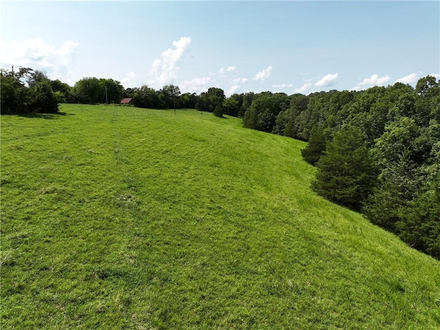 TBD Highway 123, Hasty, AR 72640