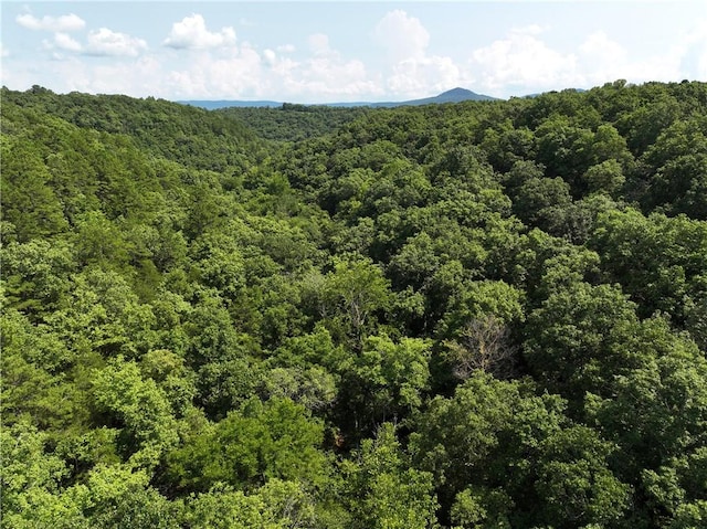 TBD Highway 123, Hasty, AR 72640