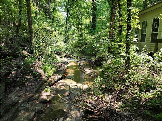 TBD Highway 123, Hasty, AR 72640