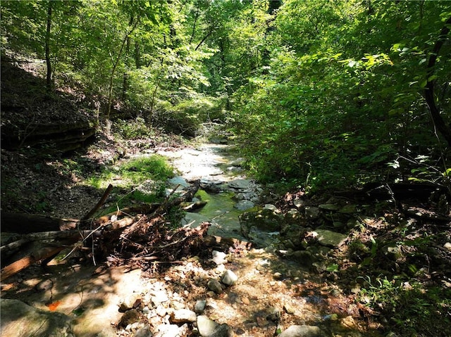 TBD Highway 123, Hasty, AR 72640