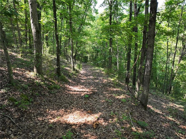 TBD Highway 123, Hasty, AR 72640
