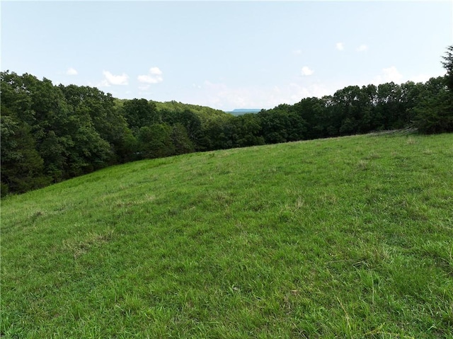 TBD Highway 123, Hasty, AR 72640