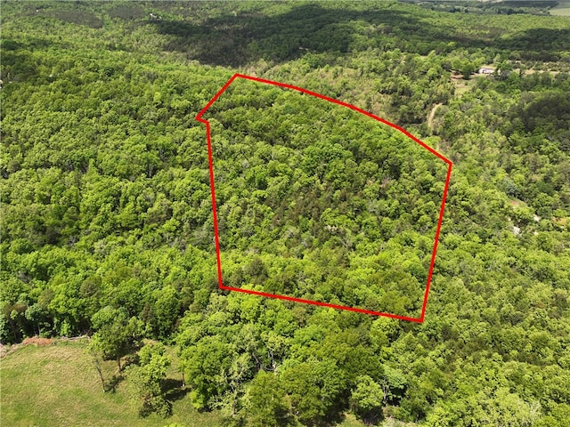 TBD Old Lowery Rd, Omaha AR, 72662 land for sale