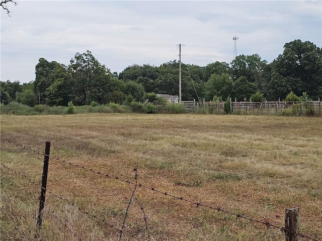 view of yard with a rural view