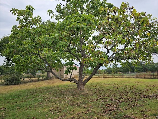 view of yard featuring a rural view