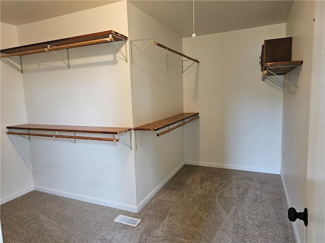 spacious closet featuring carpet