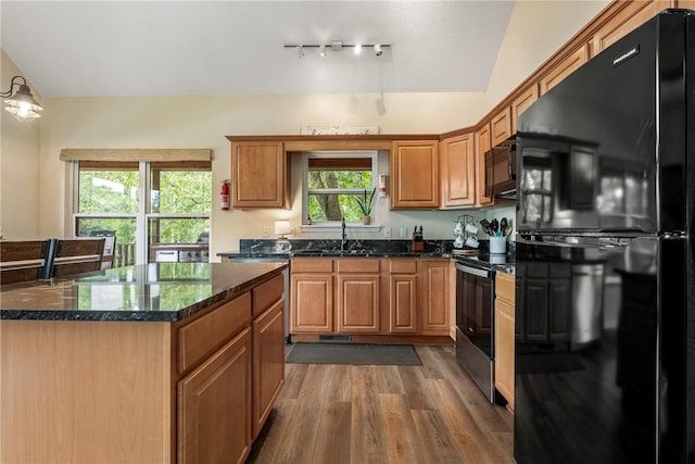 kitchen with dark wood finished floors, a wealth of natural light, a sink, and black appliances