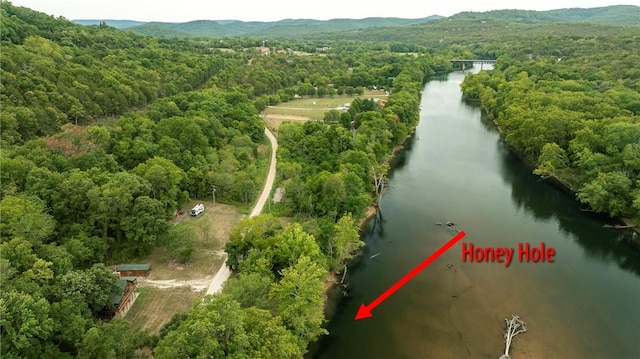 bird's eye view with a view of trees and a water view