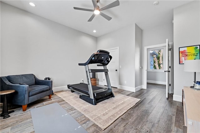 workout area featuring hardwood / wood-style flooring and ceiling fan