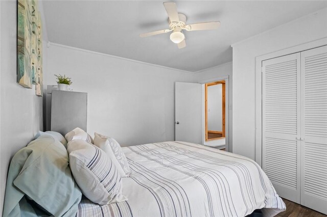 156 Main, Colcord, OK 74338 - bedroom featuring a closet, ornamental molding, a ceiling fan, and dark wood-type flooring