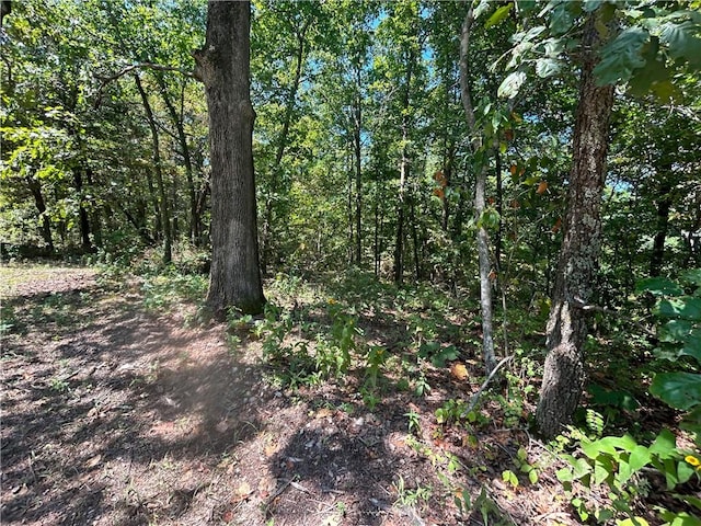26640 Black Fox Dr, Kansas, OK 74347 - photo 8