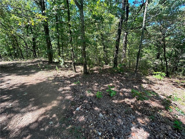 26640 Black Fox Dr, Kansas, OK 74347 - photo 10