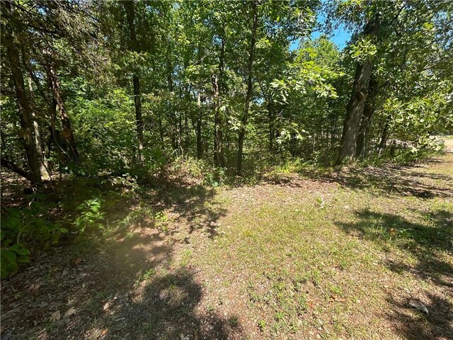 26640 Black Fox Dr, Kansas, OK 74347 - photo 11
